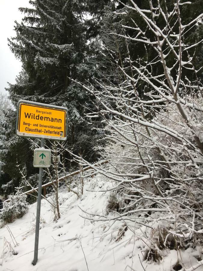 Haus Georgenhoehe Wildemann Eksteriør bilde